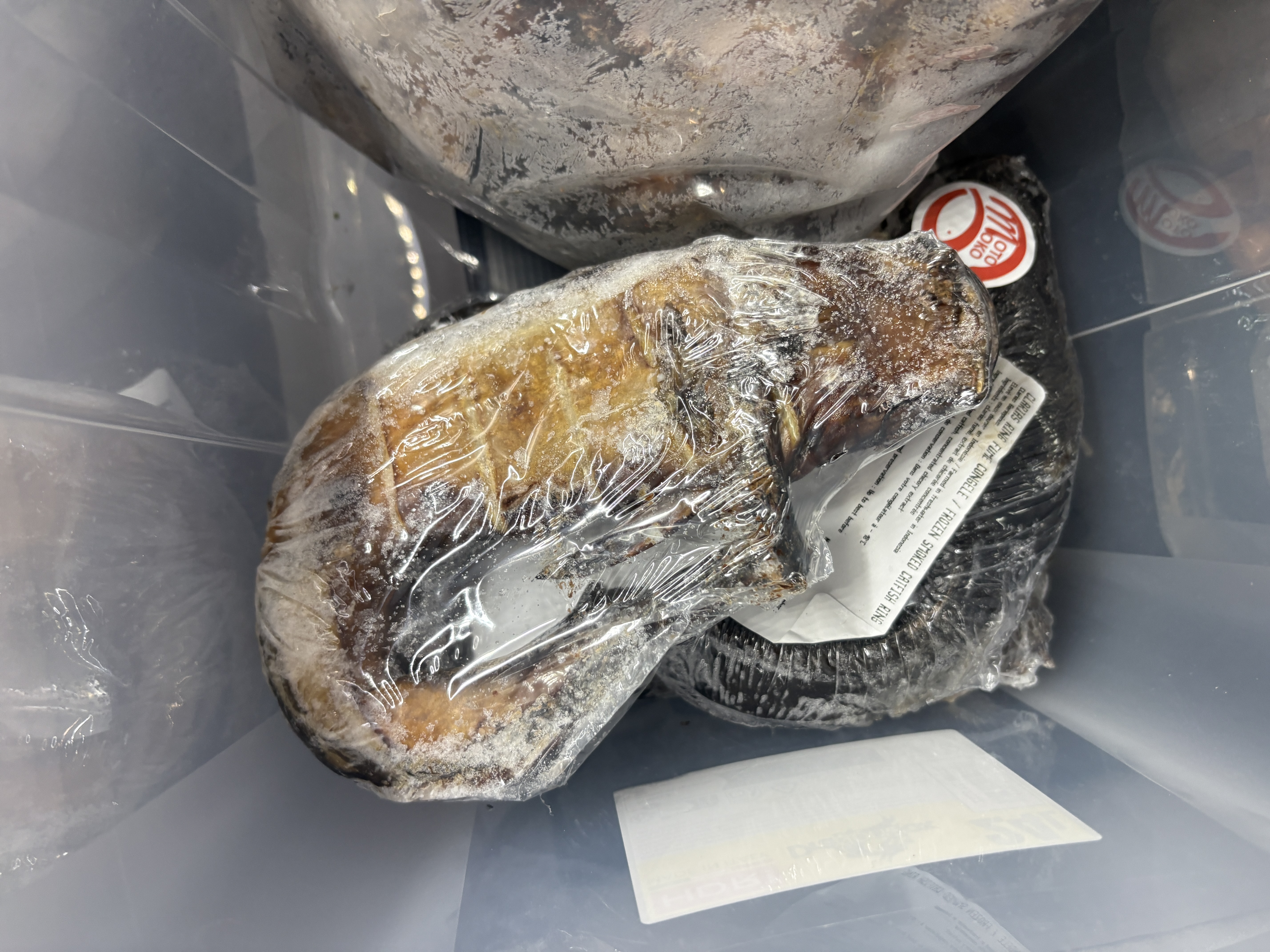 Poisson fumé